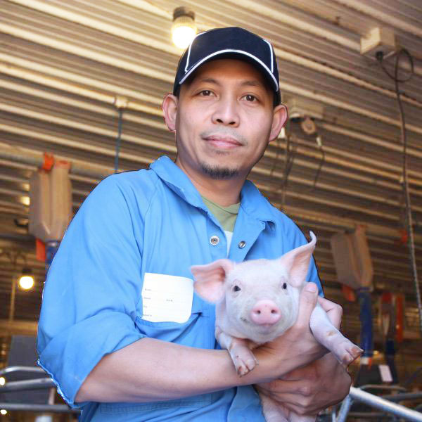 Staff Member Holding Pig